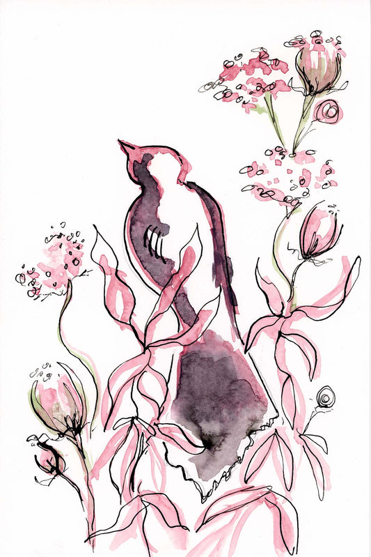 Blackbird 2