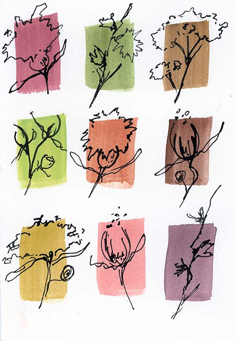 Blooms 1