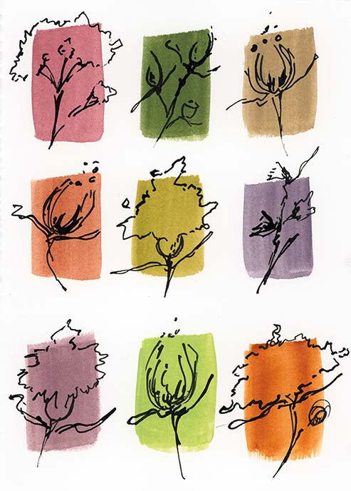 Blooms 2