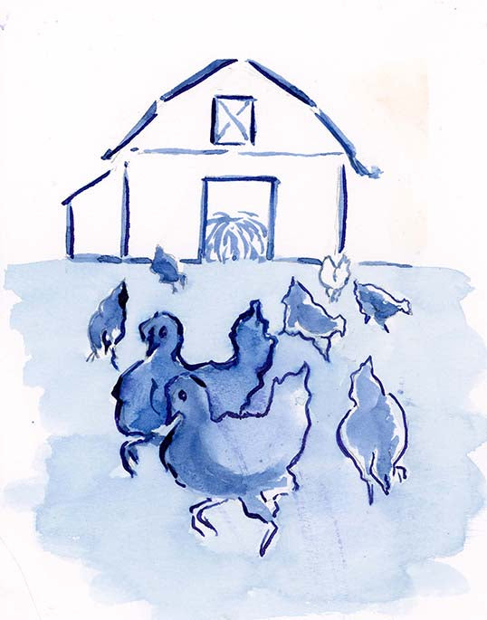Blue Chickens 1