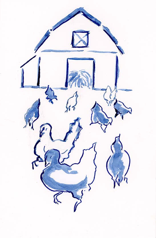 Blue Chickens 2
