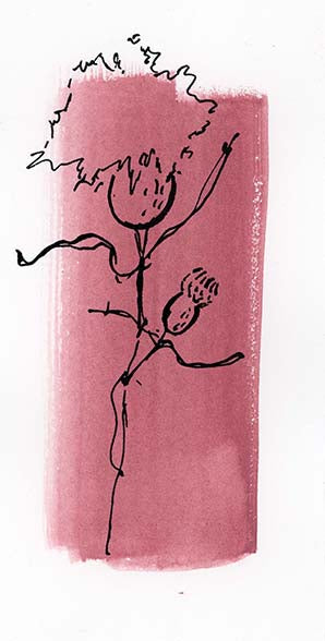 Ink Bloom 1