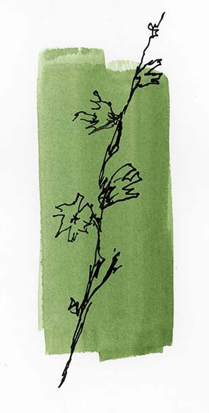 Ink Bloom 2