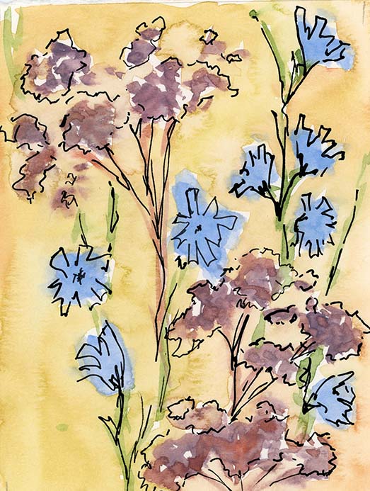 Purple and Coneflower