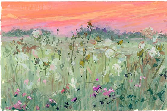Sunset Field 1