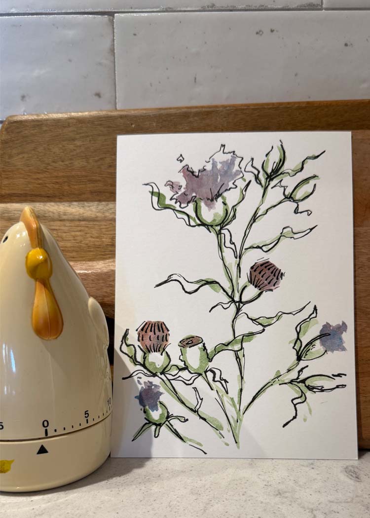 Thistle 1