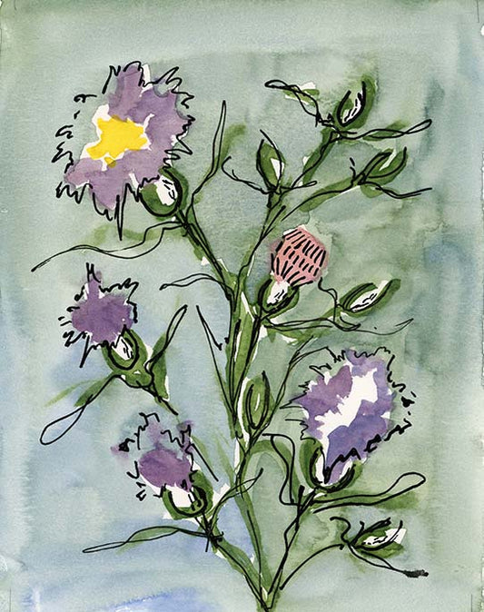 Thistle 6